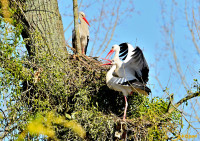 Sentier des Rogations